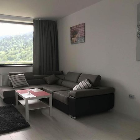 Mountain Residence Sinaia Buitenkant foto