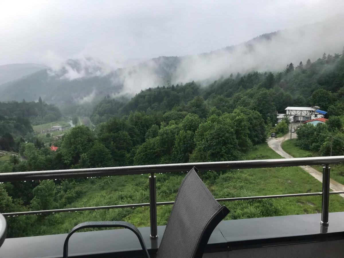 Mountain Residence Sinaia Buitenkant foto