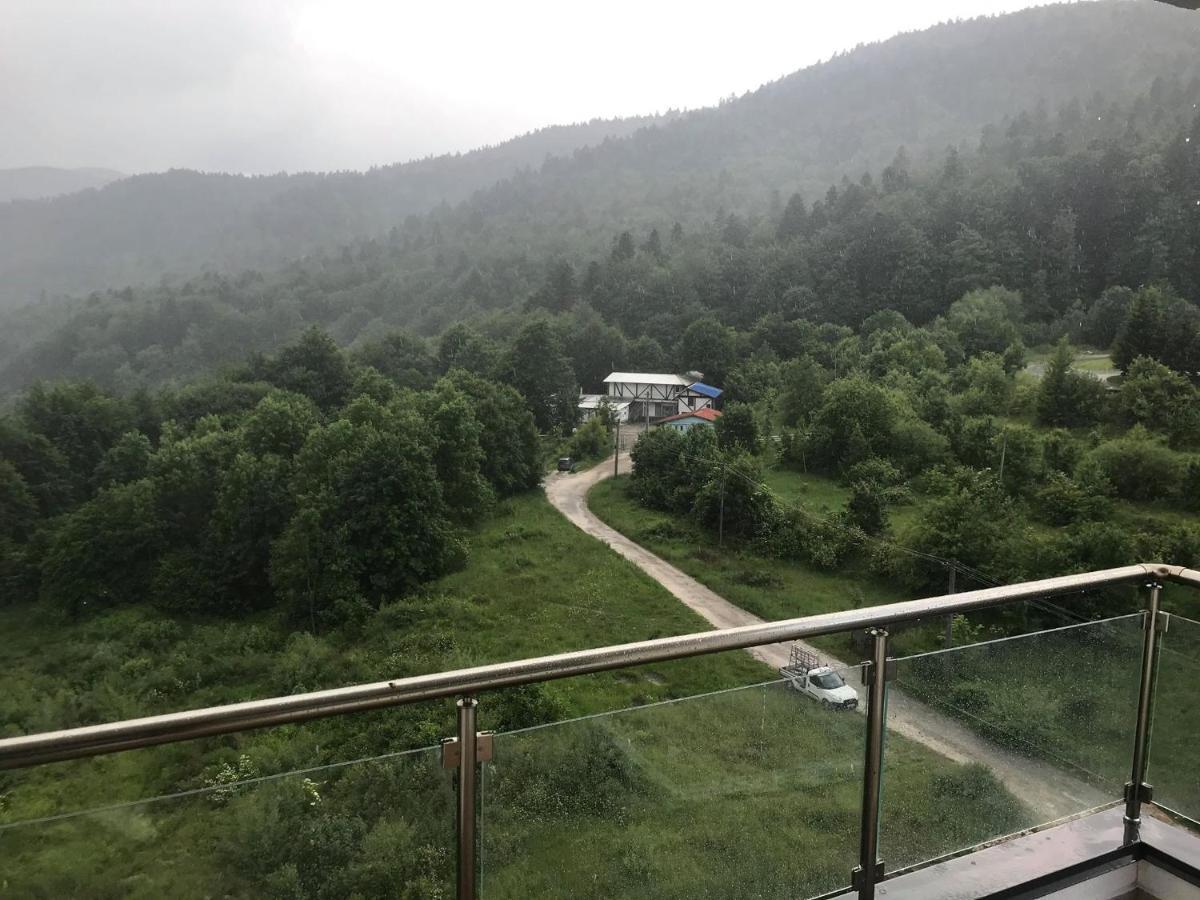 Mountain Residence Sinaia Buitenkant foto