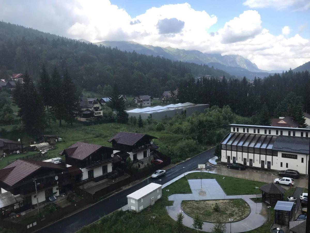 Mountain Residence Sinaia Buitenkant foto