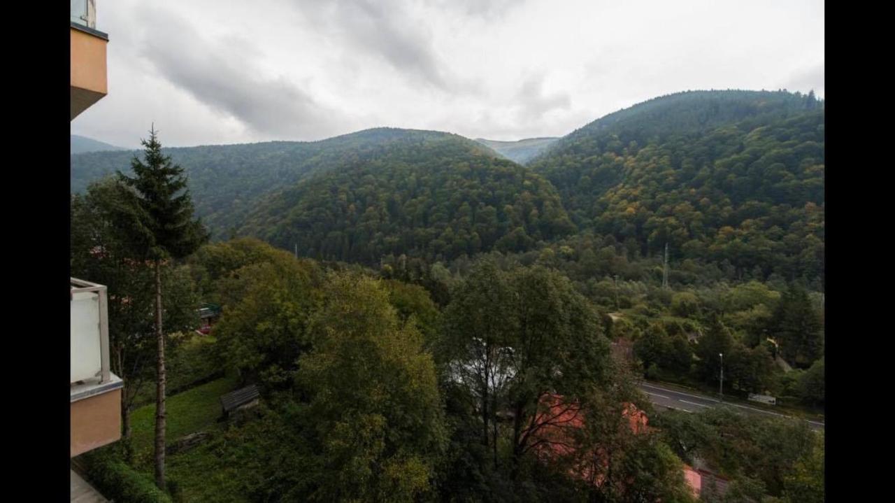 Mountain Residence Sinaia Buitenkant foto