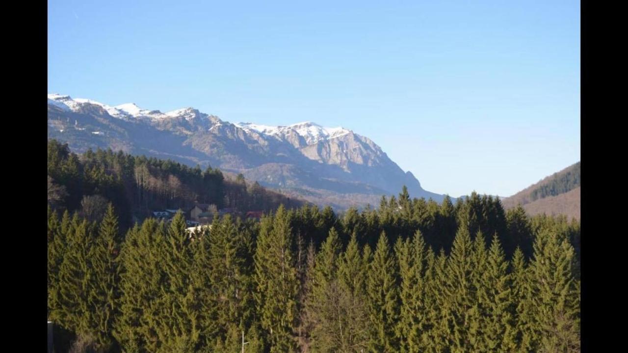 Mountain Residence Sinaia Buitenkant foto