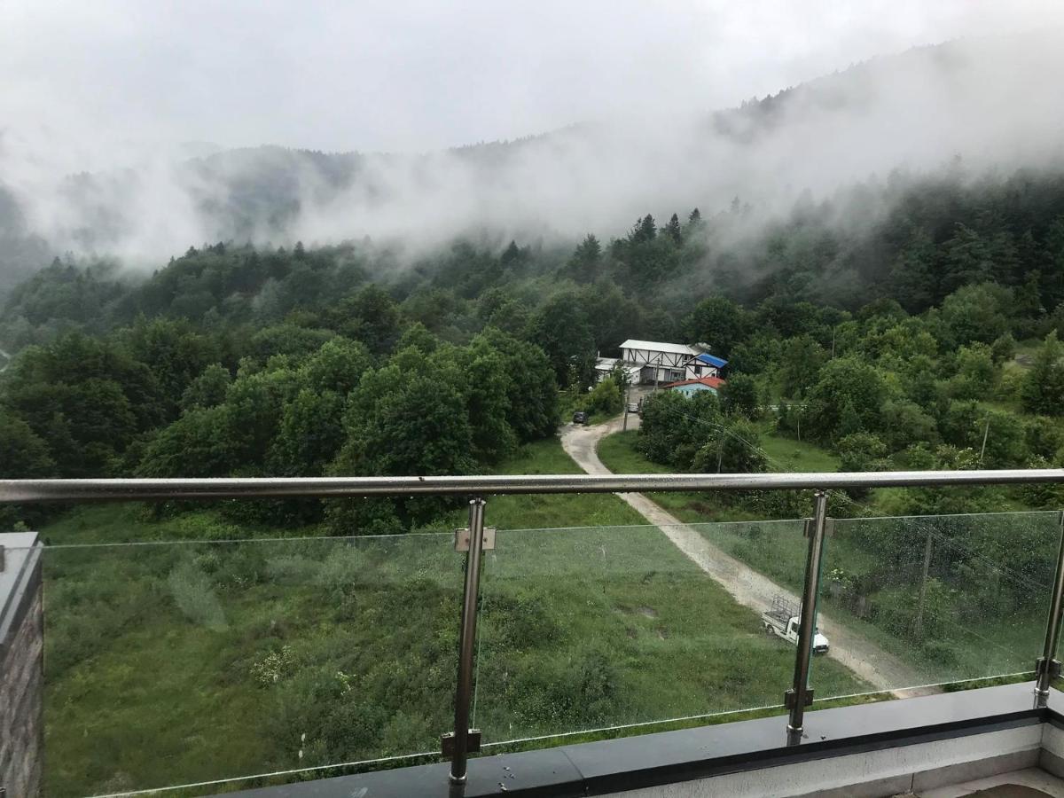 Mountain Residence Sinaia Buitenkant foto