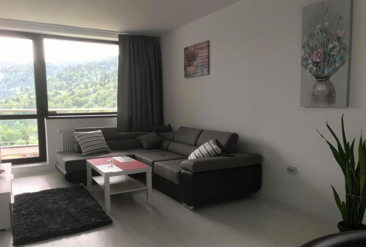 Mountain Residence Sinaia Buitenkant foto
